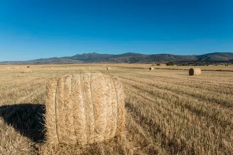 Straw bales Stock Photos