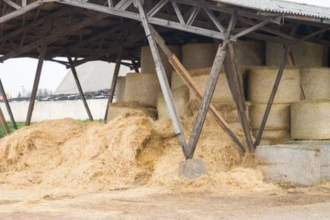 Straw bales Foto stock