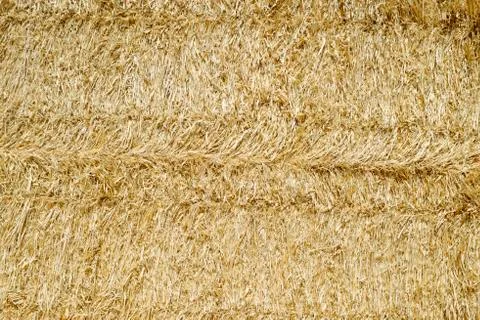 Straw bales Фото