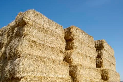 Straw bales Stock Photos