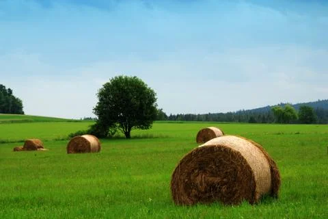 Straw bales Stock Photos
