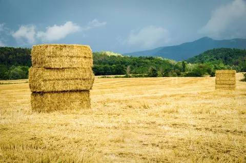 Straw bales Stock Photos