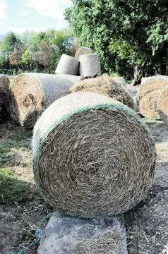 Straw bales Stock Photos
