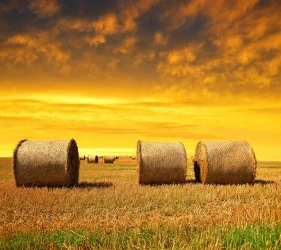 Straw bales  Stock Photos