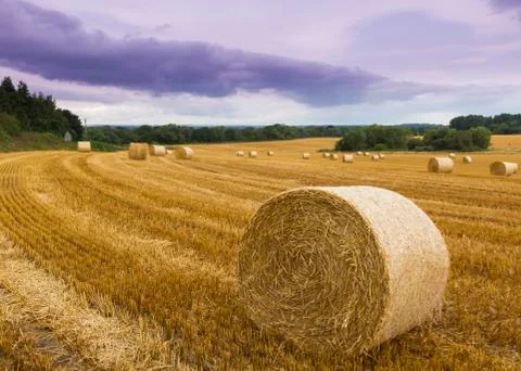 Straw bales Stock Photos