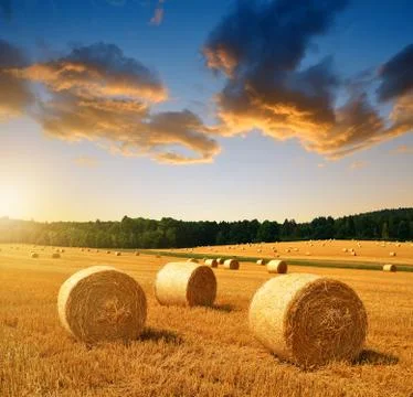 Straw bales Stock Photos