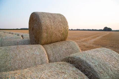 Straw bales Stock Photos