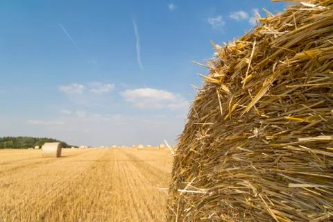 Straw bales Stock Photos