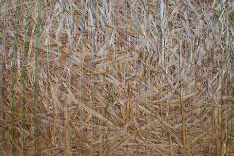 Straw bales Stock Photos