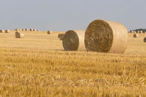 Straw bales Stock Photos