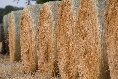 Straw bales Stock Photos