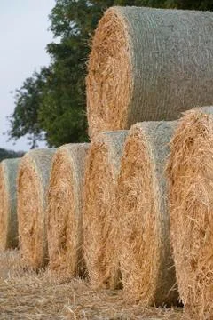 Straw bales Stock Photos