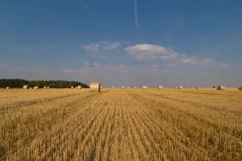 Straw bales Stock Photos