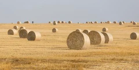 Straw bales Stock Photos