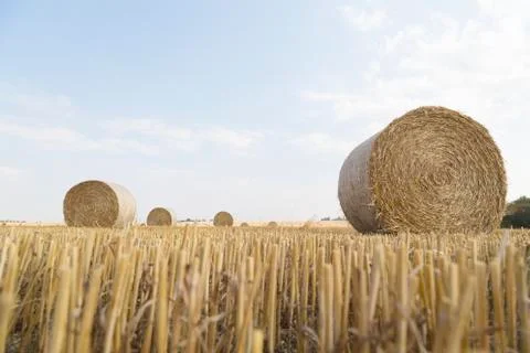 Straw bales Stock Photos