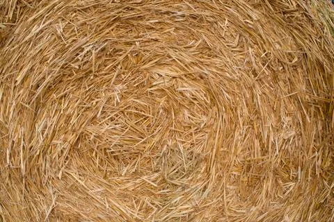 Straw bales Stock Photos