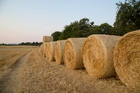 Straw bales Stock Photos
