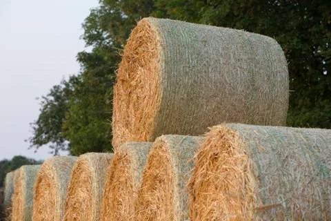 Straw bales Stock Photos