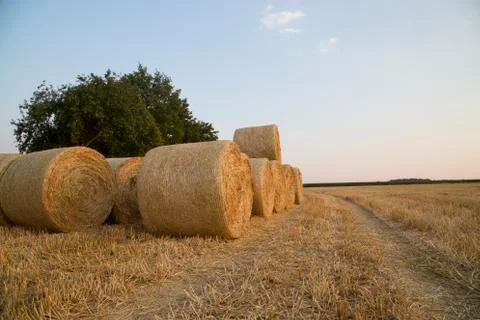 Straw bales Stock Photos
