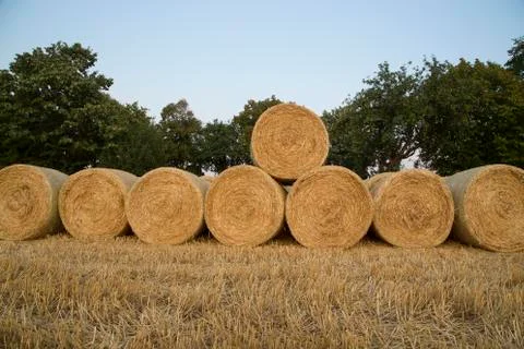 Straw bales Stock Photos