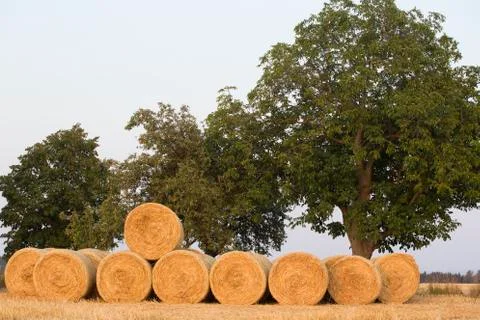 Straw bales Stock Photos