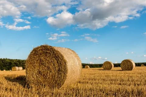 Straw bales Stock Photos