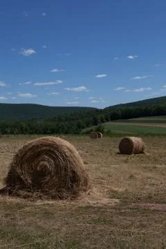 Straw Bales Stock Photos