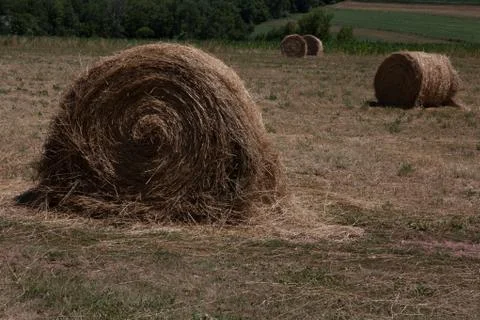 Straw Bales Stock Photos