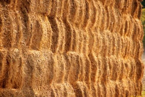 Straw bales Stock Photos