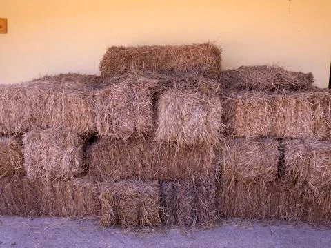 Straw Bales Foto stock