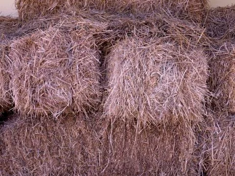Straw Bales Foto stock