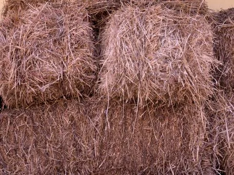 Straw Bales Foto stock