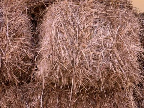 Straw Bales Foto stock