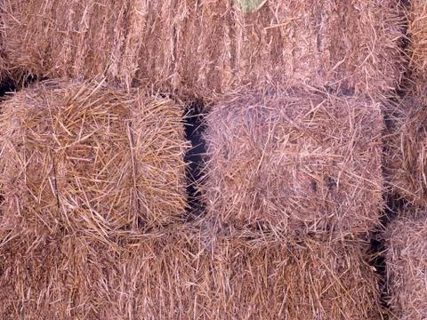 Straw Bales Foto stock