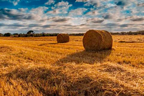 Straw bales Stock Photos