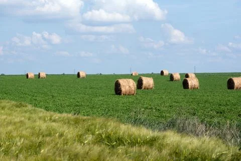 The Straw bales Stock Photos