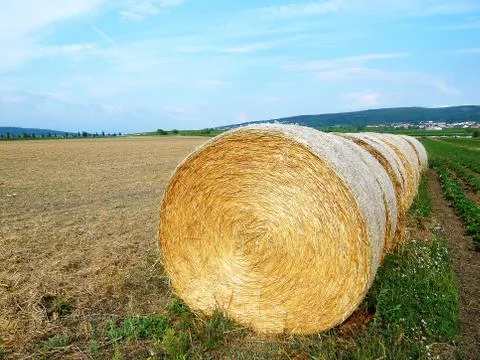 Straw Bales Stock Photos