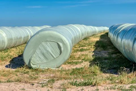 The straw bales. Stock Photos