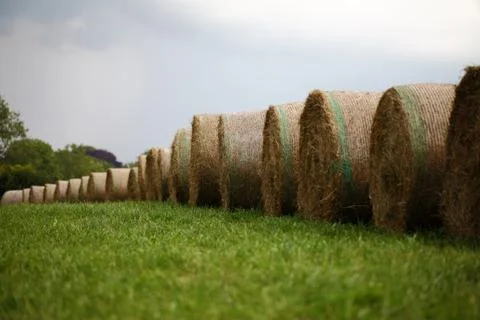 Straw Bales - rain clouds 스톡 사진
