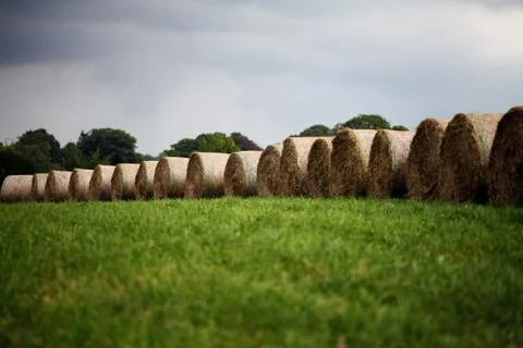 Straw Bales - rain clouds 库存照片