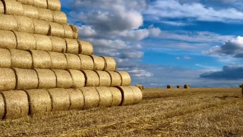 Straw bales stacked in a field Stock Footage 260147306