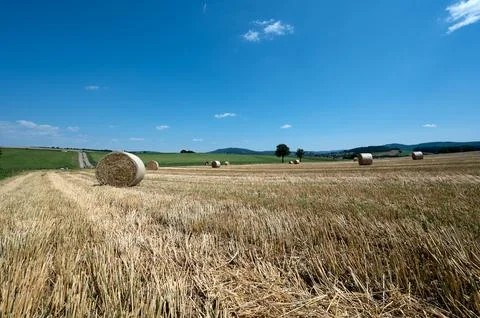 Straw bales on the stubble field Stock Photos