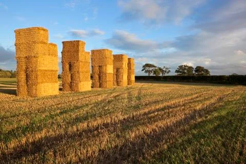Straw bales at sunset Stock Photos