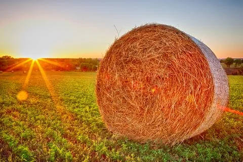 Straw bales in the sunset Stock Photos