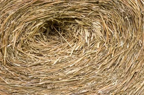 Straw bales texture. Foto stock