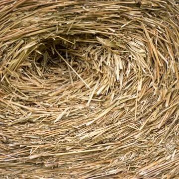 Straw bales texture. Stock Photos