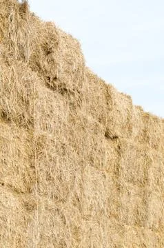 Straw Bales Vertical 库存照片