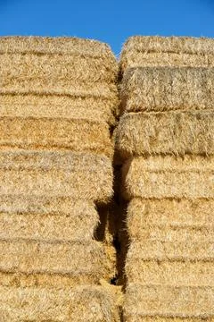 Straw bales view Fotos de archivo