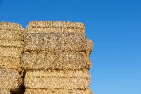 Straw bales view Stock Photos