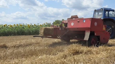 Straw bales in a wheat field. Straw bales stacked in farm field after wheat Stock Footage 248077916